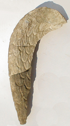 65-845Eaglewing_web