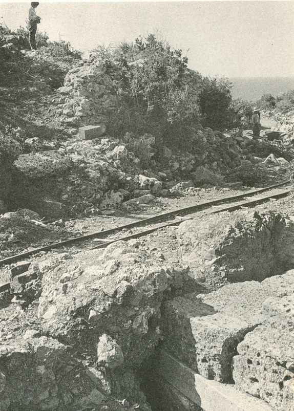 Historical photograph of railway tracks running through the sanctuary along the Central Ravine.